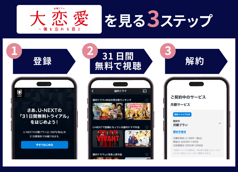 大恋愛 見る方法