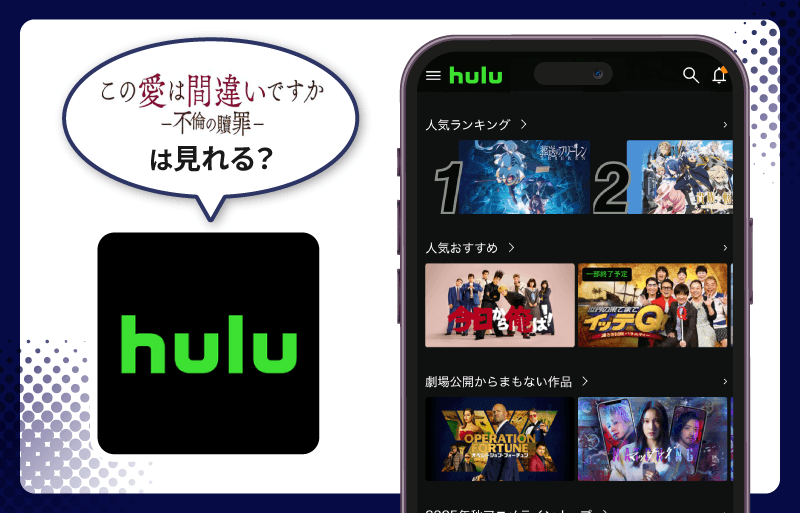 この愛は間違いですか〜不倫の贖罪　Hulu