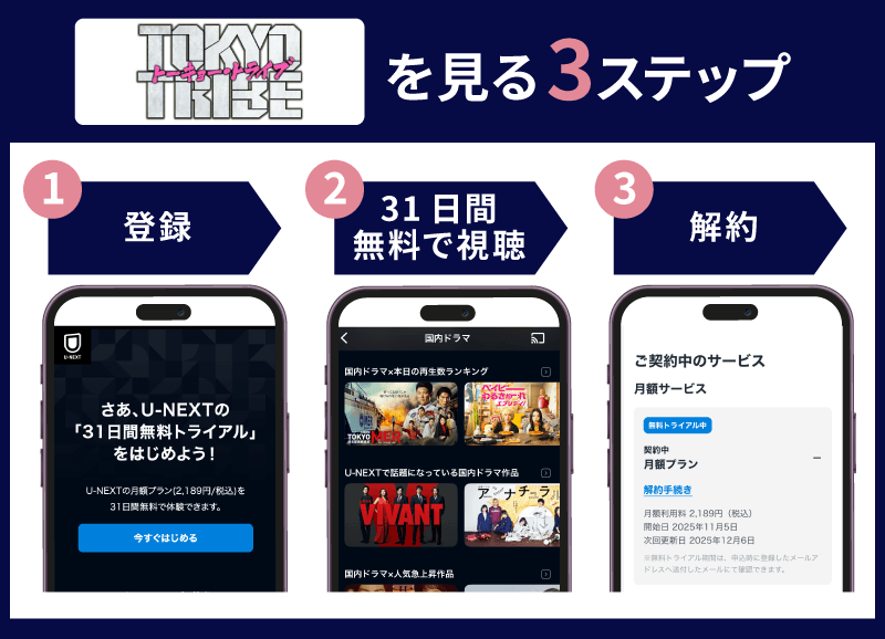 TOKYO TRIBE 視聴方法