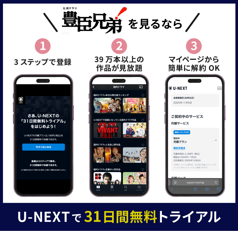 豊臣兄弟！　見るなら