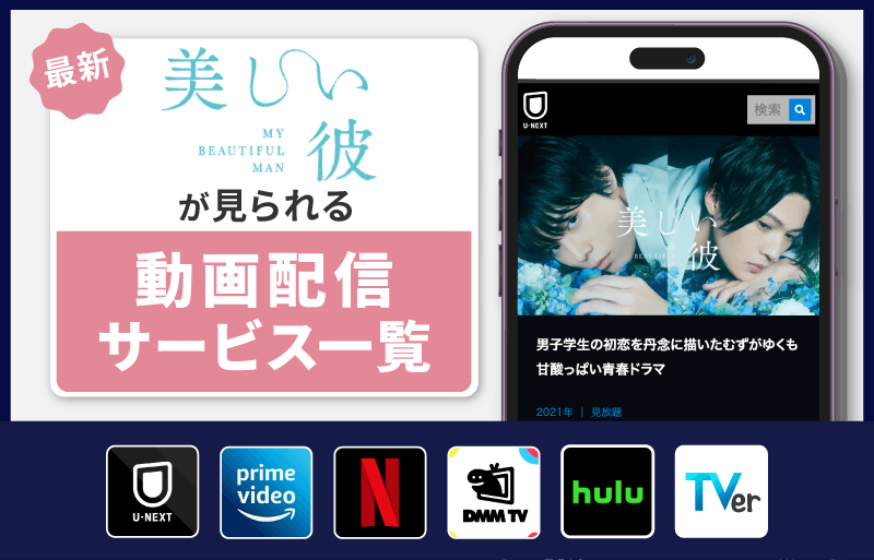 配信サービス一覧　美しい彼シリーズ