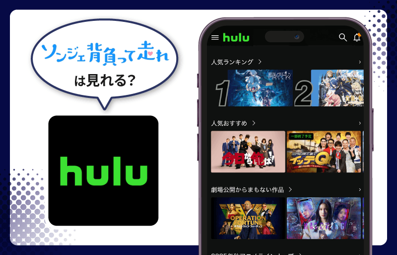 ソンジェ背負って走れ　Hulu