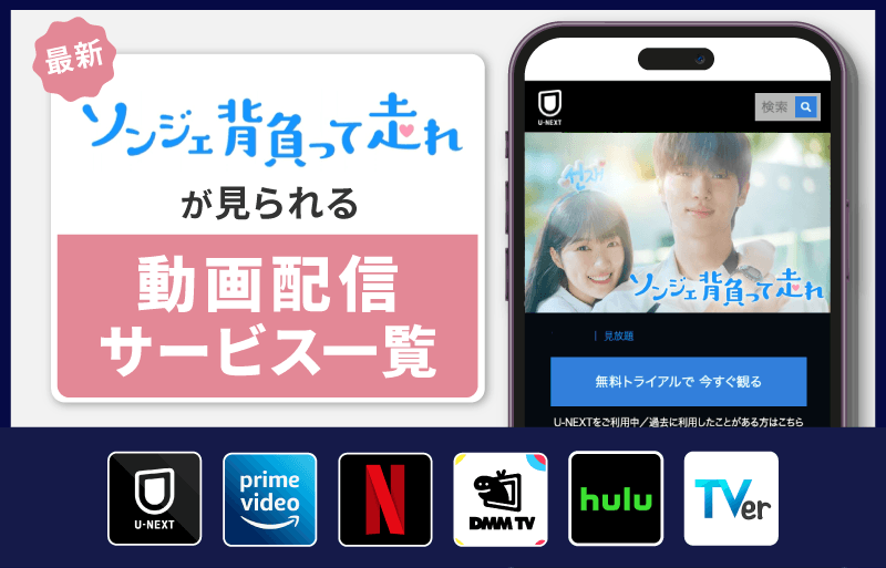 ソンジェ背負って走れ　配信サービス一覧