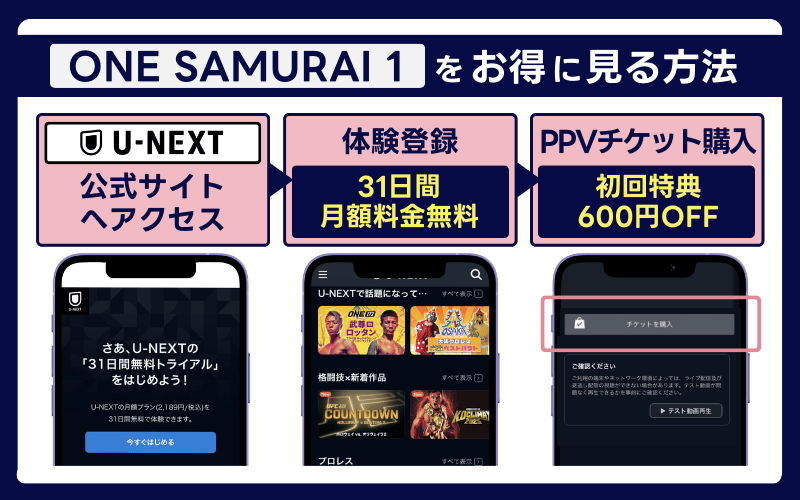 武尊　試合　見る方法