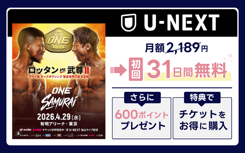 武尊　引退試合