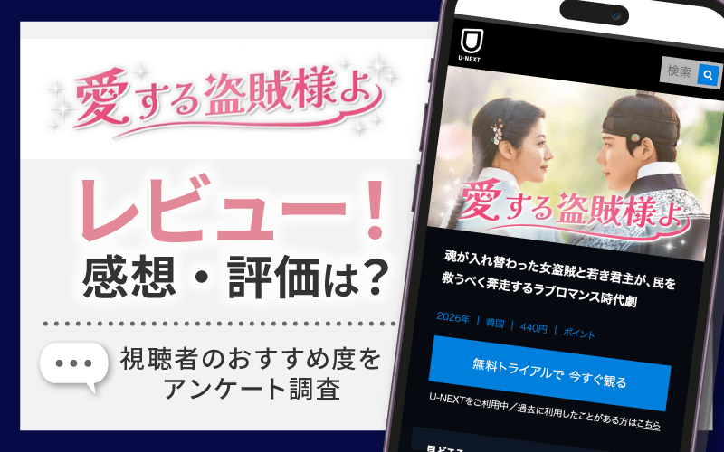 愛する盗賊様よ　レビュー